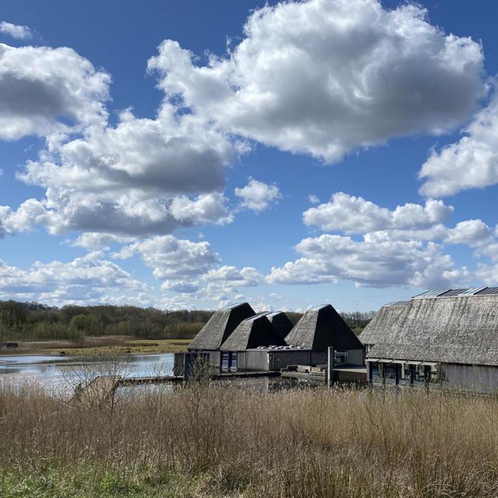 Brockholes Nature Reserve